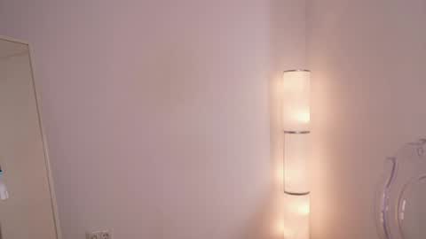 Snapshot of silent_chill chatting on January 2025 02:51:02 PM Chilli online show from January 2025 02:51:02 PM