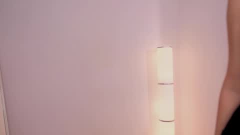 Snapshot of silent_chill chatting on February 2025 11:55:01 AM Chilli online show from February 2025 11:55:01 AM