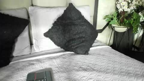 Snapshot of silknyx chatting on February 2026 01:22:02 PM silknyx online show from February 2026 01:22:02 PM