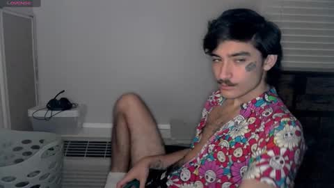 Snapshot of silly_cybin chatting on January 2025 01:17:01 PM cybin online show from January 2025 01:17:01 PM