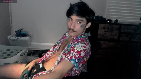 Snapshot of silly_cybin chatting on January 2025 12:25:02 PM cybin online show from January 2025 12:25:02 PM