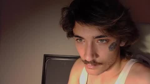 Snapshot of silly_cybin chatting on November 2025 06:13:02 AM cybin online show from November 2025 06:13:02 AM