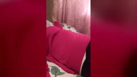 SindikaxNiks online show from May 2026 11:37:02 AM