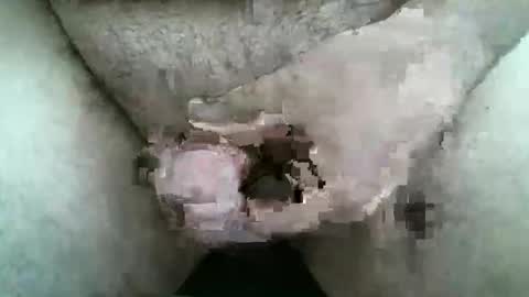 HardNSouthern online show from March 2026 12:09:01 PM