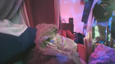 Siofra online show from February 2025 02:19:02 AM