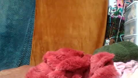 Siofra online show from November 2025 04:51:02 AM