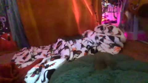 Siofra online show from January 2026 11:15:02 AM