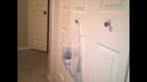 Snapshot of sirenofsin2002 chatting on January 2025 11:40:01 PM sirenofsin2002 online show from January 2025 11:40:01 PM