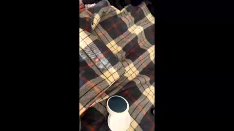 Snapshot of sirgalaxy chatting on November 2025 01:46:01 PM sirgalaxy online show from November 2025 01:46:01 PM