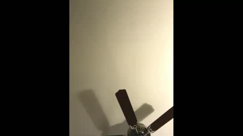 Snapshot of sissynovaholes chatting on January 2025 02:56:02 AM sissynovaholes online show from January 2025 02:56:02 AM