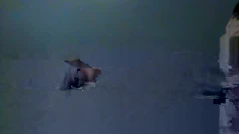 Snapshot of skeeter4fun73 chatting on December 2025 01:40:02 PM skeeter4fun73 online show from December 2025 01:40:02 PM