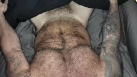 BEEF online show from September 2025 08:47:01 AM