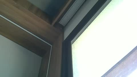 skinnykittencam online show from October 2025 03:10:02 PM