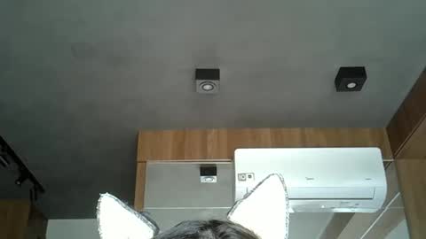 skinnykittencam online show from October 2025 04:26:02 PM