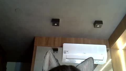 skinnykittencam online show from October 2025 06:59:01 PM