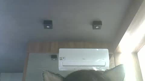 skinnykittencam online show from January 2026 03:55:02 AM