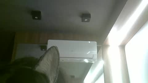 Snapshot of skinnykittencam chatting on June 2026 05:51:01 PM skinnykittencam online show from June 2026 05:51:01 PM