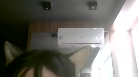Snapshot of skinnykittencam chatting on June 2026 02:53:01 AM skinnykittencam online show from June 2026 02:53:01 AM
