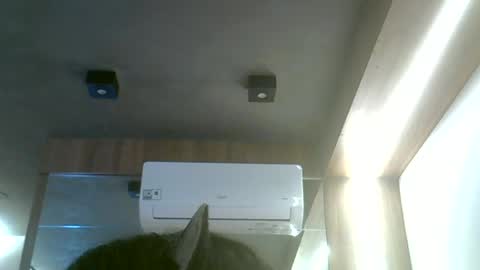 Snapshot of skinnykittencam chatting on June 2026 12:20:02 PM skinnykittencam online show from June 2026 12:20:02 PM