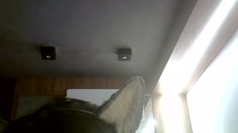 Snapshot of skinnykittencam chatting on July 2026 06:25:01 PM skinnykittencam online show from July 2026 06:25:01 PM