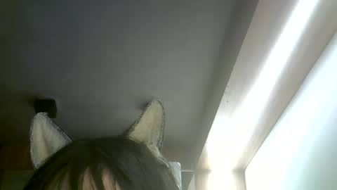 Snapshot of skinnykittencam chatting on July 2026 06:31:02 AM skinnykittencam online show from July 2026 06:31:02 AM