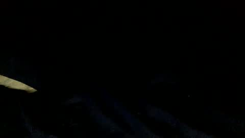 Snapshot of skinnypole6 chatting on December 2024 06:06:01 PM skinnypole6 online show from December 2024 06:06:01 PM