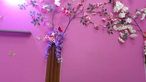 sofia online show from April 2026 06:10:01 PM