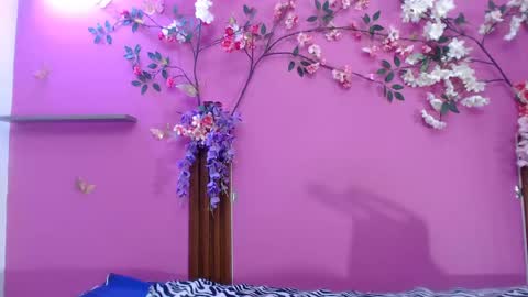 Snapshot of skinnysofia18 chatting on June 2026 02:22:01 PM sofia online show from June 2026 02:22:01 PM