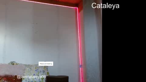 Snapshot of skulycataleya chatting on October 2025 10:07:01 PM skulycataleya online show from October 2025 10:07:01 PM