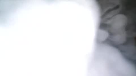 skyonetoo3 online show from October 2025 10:21:02 PM