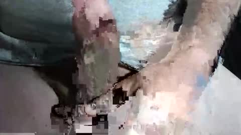 Z online show from September 2025 10:31:01 PM