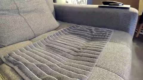 slaterboyyy online show from November 2025 01:06:02 AM