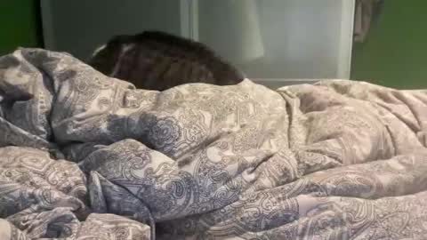 Snapshot of slice5 chatting on December 2025 09:49:01 AM slice5 online show from December 2025 09:49:01 AM