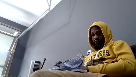 Snapshot of slickerthan12 chatting on February 2025 06:44:02 PM BBC Hanging online show from February 2025 06:44:02 PM