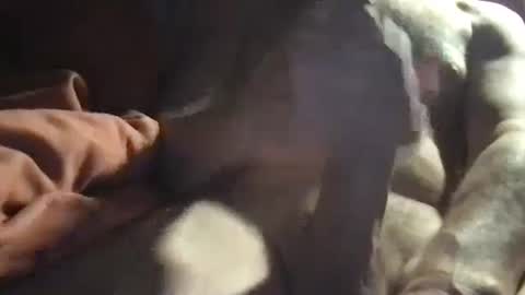 slienthear83 online show from January 2025 06:34:02 AM