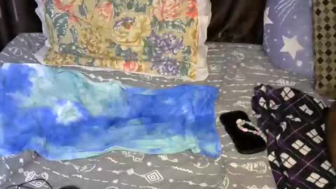 slim_me online show from May 2026 07:36:01 AM