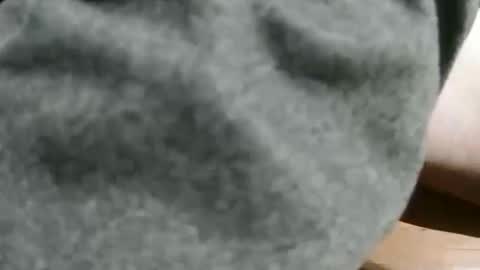 slimsunny online show from December 2024 05:49:02 AM