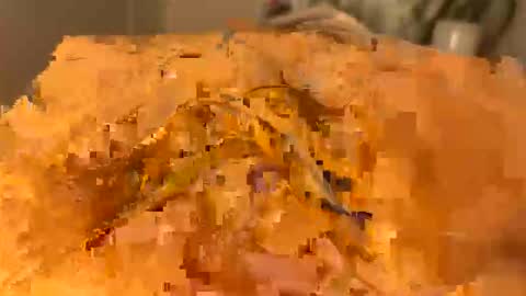 Snapshot of slipmytip chatting on December 2025 11:08:01 AM slipmytip online show from December 2025 11:08:01 AM