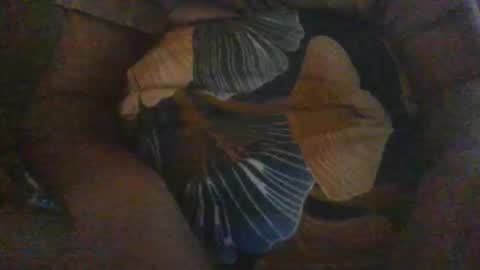 Snapshot of slothslav chatting on December 2024 12:40:02 PM slothslav online show from December 2024 12:40:02 PM