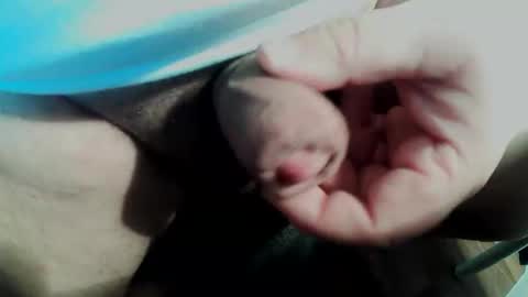 Small Pekka online show from February 2026 03:50:02 PM