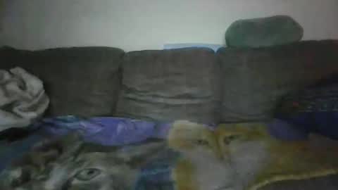 smaug6606 online show from November 2025 06:46:02 AM