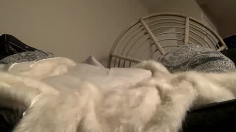 Smoke4Daddy online show from October 2025 12:56:02 PM