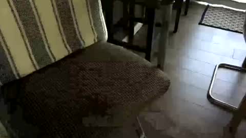 Peter Johnson online show from June 2026 08:39:02 PM
