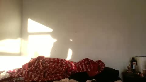 Snapshot of smoothvodka chatting on December 2024 09:09:02 PM Bambi--Vodka online show from December 2024 09:09:02 PM