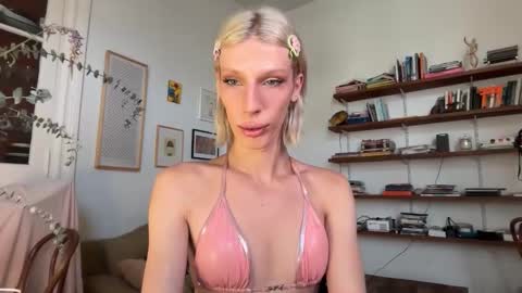 Snapshot of sn0wcat chatting on February 2026 01:09:02 PM online show from February 2026 01:09:02 PM