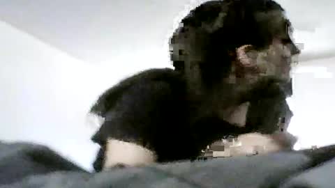 Snapshot of sn0wman071 chatting on June 2026 06:22:02 PM sn0wman071 online show from June 2026 06:22:02 PM