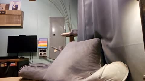 Snackyyyy online show from February 2026 01:10:02 AM