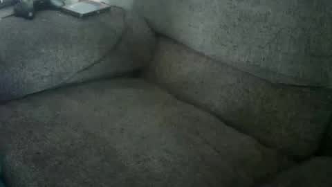 Snail online show from February 2026 01:48:02 PM