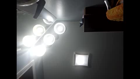 snarkyboy7 online show from February 2026 11:36:02 AM