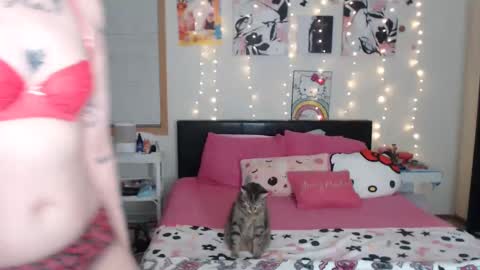 snow_money online show from March 2025 04:19:01 AM